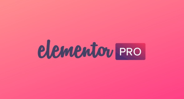 Elementor Pro v3.7.0 + Elementor v3.6.5 已激活汉化版-零点博客